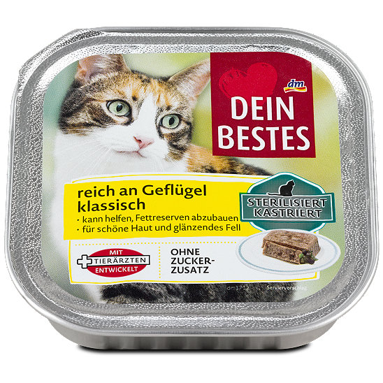 bestes katzenfutter kitten